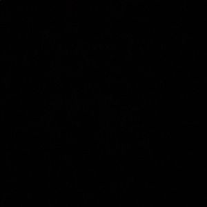 Meet your Posher, Elijah